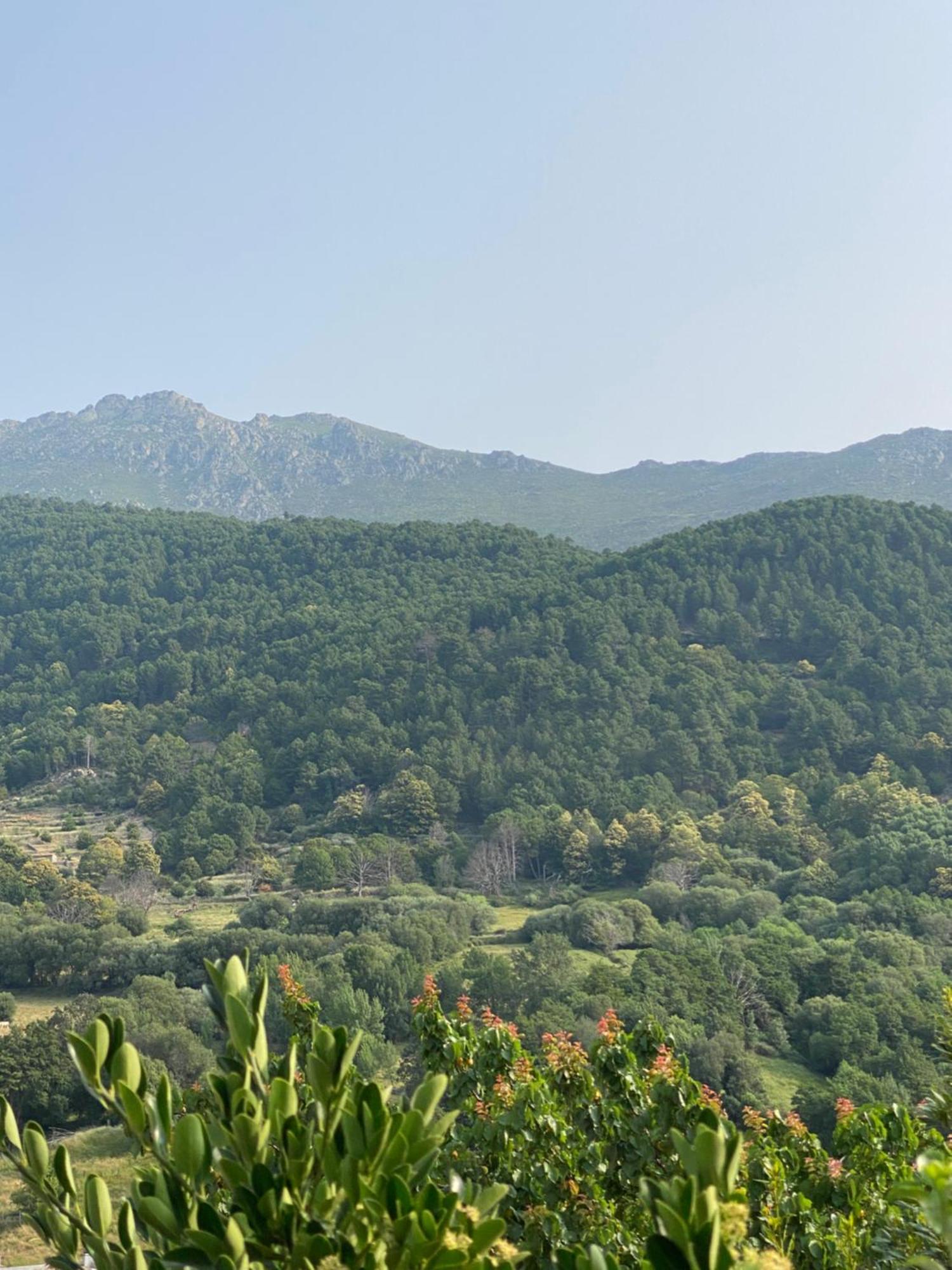 El 42 Mijares Βίλα Εξωτερικό φωτογραφία